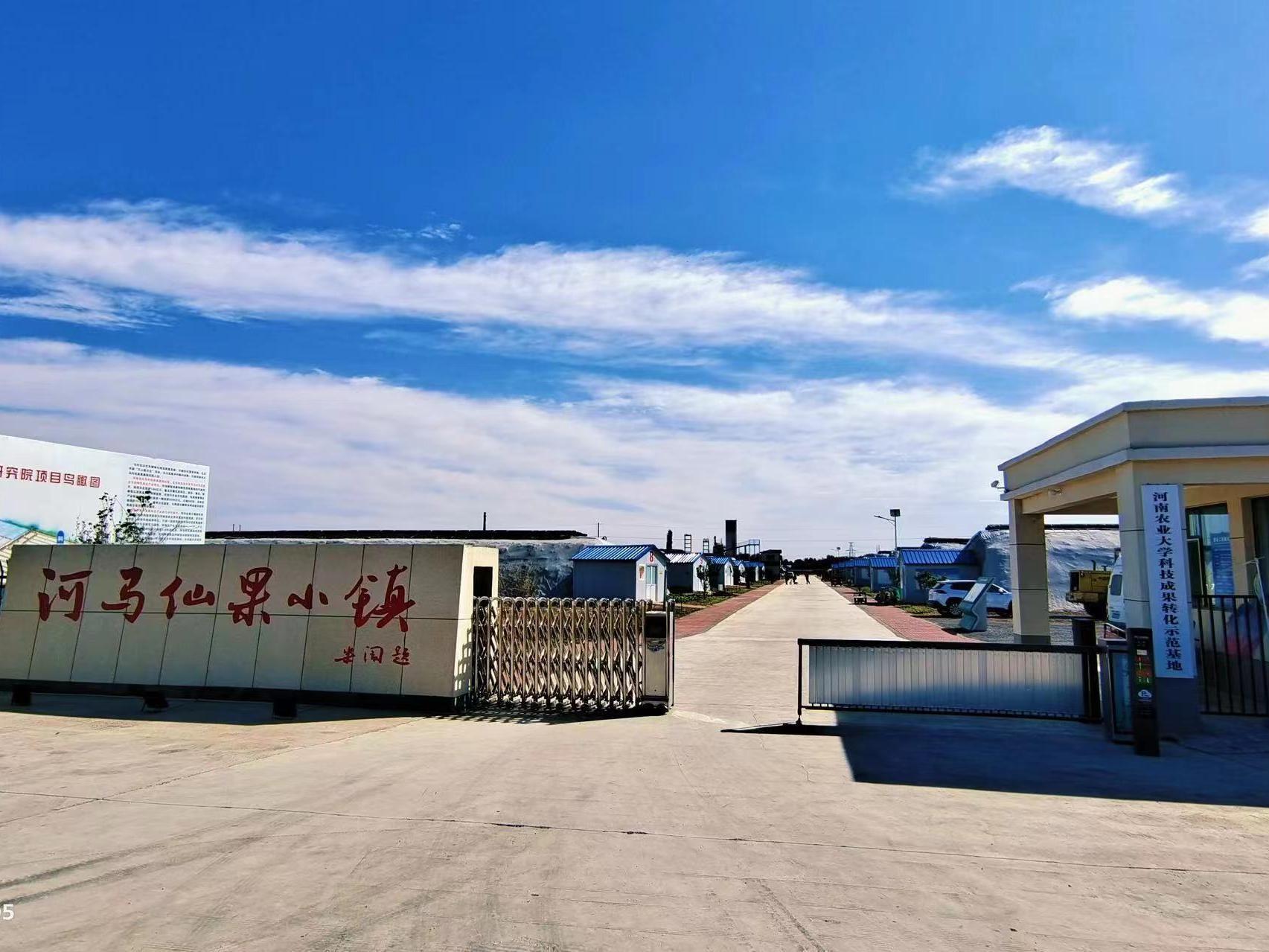 永利总站(中国)有限公司马村优质果蔬科教园区
